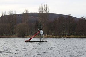 Weihnachtstauchen am Bebraer Teich