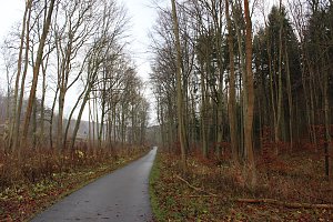 Verkehrssicherungspflicht mit Augenma&szlig;?