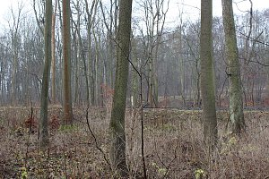 Verkehrssicherungspflicht mit Augenma&szlig;?