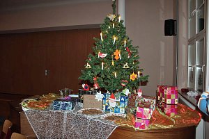 Der Weihnachtsstern