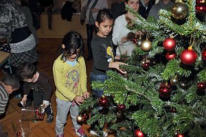 Nicht nur Weihnachtsbaum gesammelt