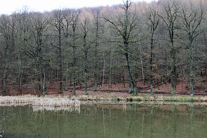 Br&uuml;ckental von Sondershausen meiden