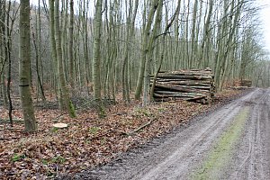 Br&uuml;ckental von Sondershausen meiden