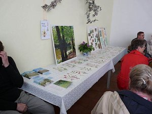 Orchideenfest G&uuml;nserode