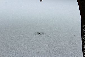 Gef&auml;hrlicher Leichtsinn auf Parkteich