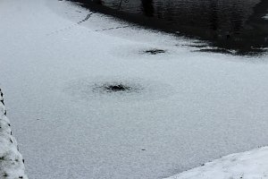 Gef&auml;hrlicher Leichtsinn auf Parkteich