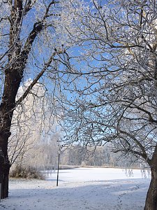 AWO Seniorenpark Am Schlosspark 