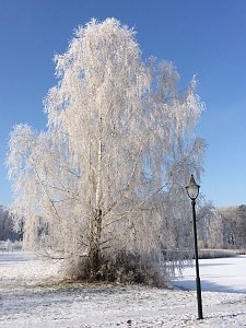 AWO Seniorenpark Am Schlosspark 