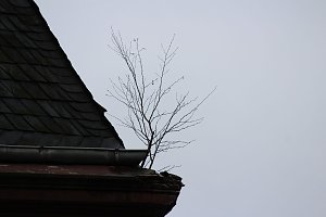 Sanieren, abrei&szlig;en oder einst&uuml;rzen lassen?