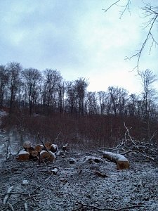 Probleme bei den Wanderwegen?