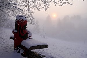 Winter statt Fr&uuml;hling