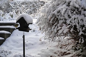 Winter statt Fr&uuml;hling