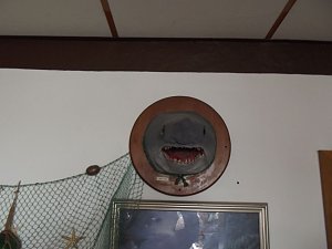 Beim singenden Fischkoch in Vehra