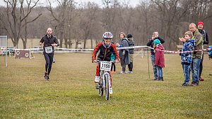 Anmelderekord beim Possenlauf