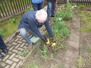 Interessante Rosenseminare mit Bernd Schlichting