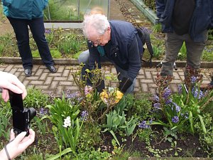 Interessante Rosenseminare mit Bernd Schlichting