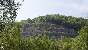 Wanderung im Morgengrauen