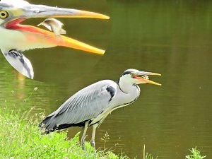 Abstecher in den Schlosspark