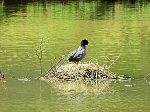 Abstecher in den Schlosspark
