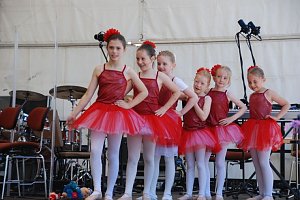 Rolandsfest 2009