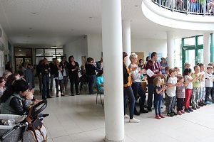 Schulen feierten gemeinsam