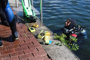 Grasmahd im Bebraer Teich