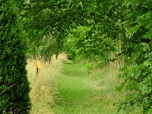 Peter Blei unterwegs - diesmal in der freien Natur und im Jugendwaldheim Rathsfeld