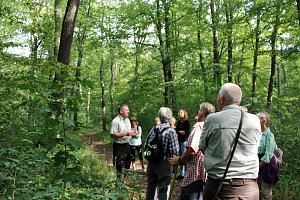 "S&uuml;dl&auml;ndische B&auml;ume im Possenwald"