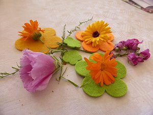 Sommerfest mit den Senioren