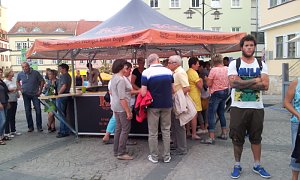 Wetter, Wein und Weinprinzessin