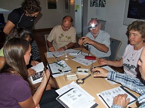 Fledermausforscher zum Fachseminar im Kyffh&auml;userkreis