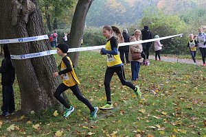Stadtparklauf