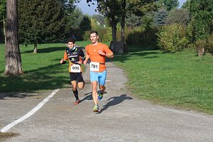 Die langen Strecken beim Stadtparklauf