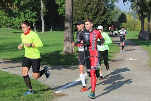 Die langen Strecken beim Stadtparklauf