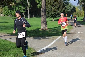 Die langen Strecken beim Stadtparklauf