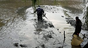 M&uuml;llabladeplatz Schlosspark?