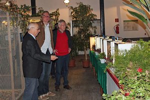 Viele exotische V&ouml;gel zu sehen
