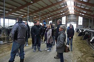 Kita Kids vom Kindernest auf "kuhler" Entdeckertour!