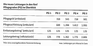 Das Pflegest&auml;rkungsgesetz III
