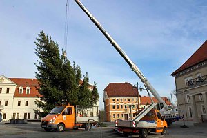 Weihnachtsbaum steht