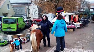 Karussell, Ponyreiten und mehr
