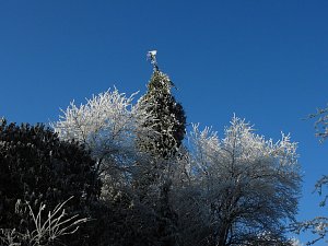 Ein Traum in Wei&szlig;