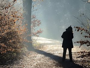 Ein Traum in Wei&szlig;