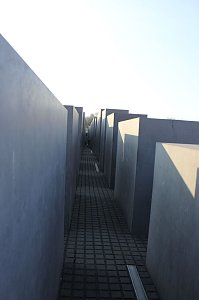 Fahrt zum Deutschen Bundestag