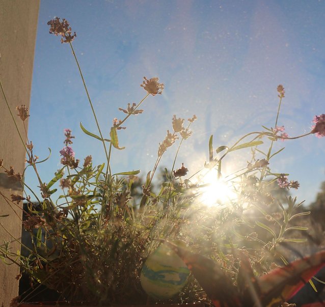 Bei der Kinder&auml;rztin gewesen