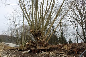 Am Bebraer Teich wird gebaut
