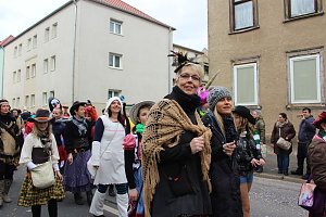 N&auml;rrinnen und Narren ziehen durch die Stadt (2)