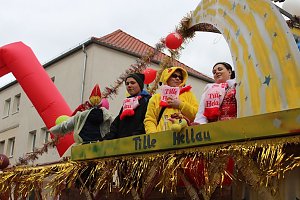 N&auml;rrinnen und Narren ziehen durch die Stadt (2)