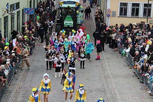 N&auml;rrinnen, Narren und schr&auml;ge Typen