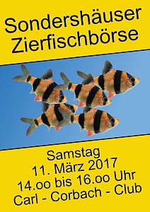 Weil wir f&uuml;r einen guten Zweck kicken